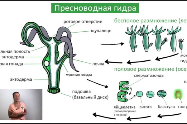 Блэкспрут сайт в тор браузере ссылка онион