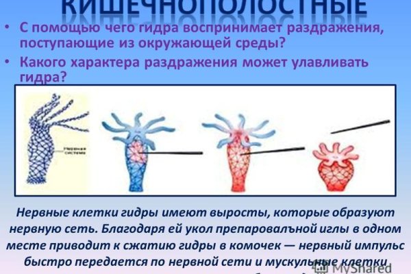 Как правильно пишется сайт омг в торе