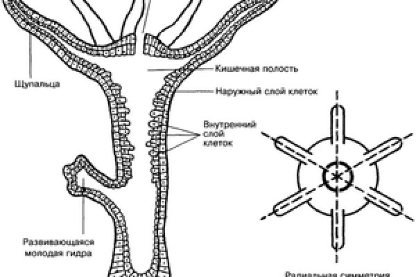 Кракен телеграм