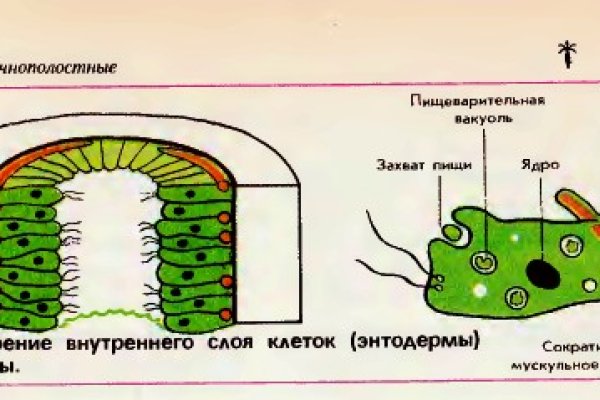 Omg omg официальный сайт в россии